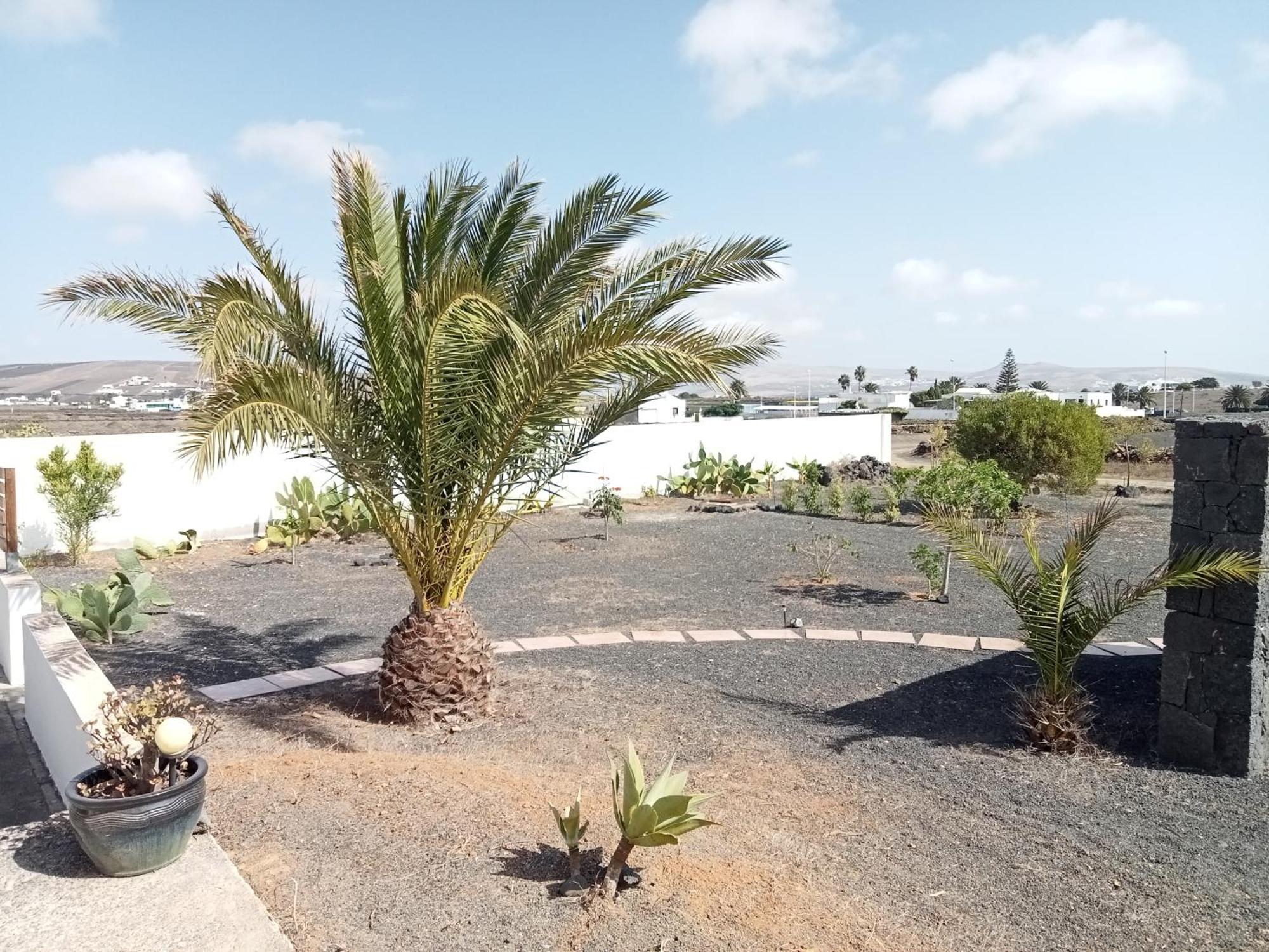 Quintero Suites San Bartolomé エクステリア 写真